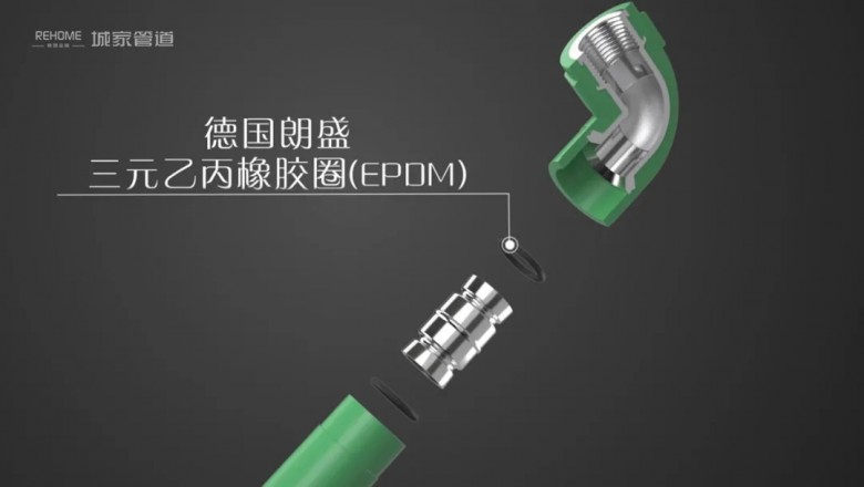 1604565356708682.jpg 640.webp (2).jpg